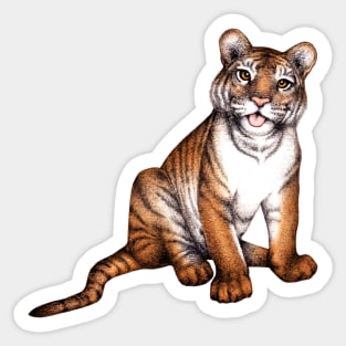 Tongue of the Tiger Sticker